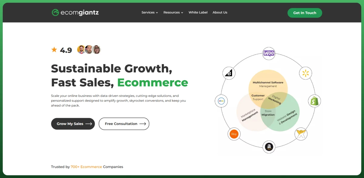 Ecommerce growth strategy and Shopify agency services for increasing online sales and conversions
